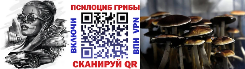 купить наркотики цена мега как зайти Галлюциногенные грибы Psilocybine cubensis Снежногорск